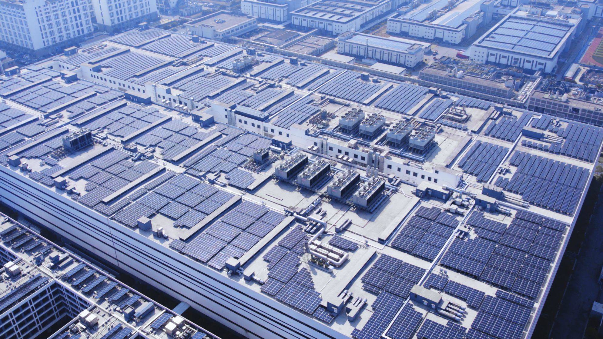 世界森林日｜AG庄闲绿电自循环一年，相当于种下一片森林